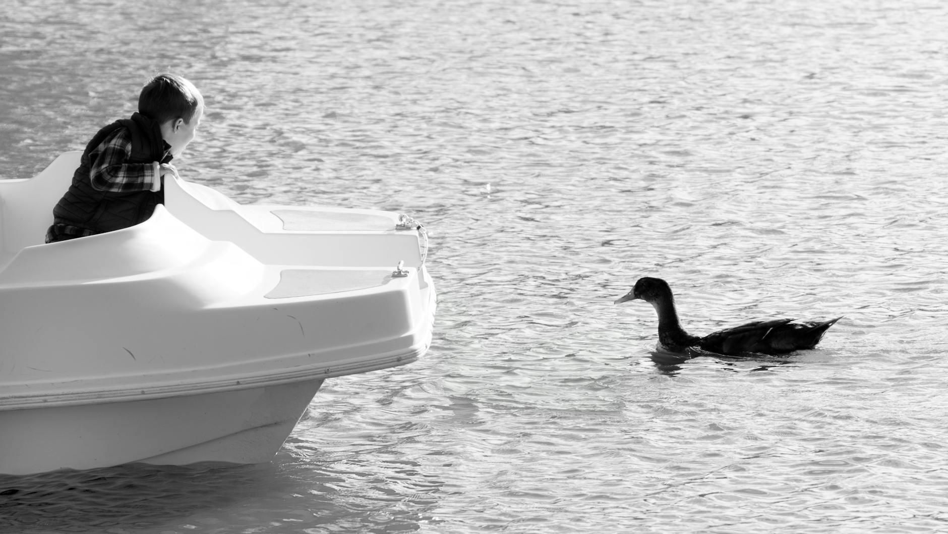 boy looking at duck in a lake in black and white