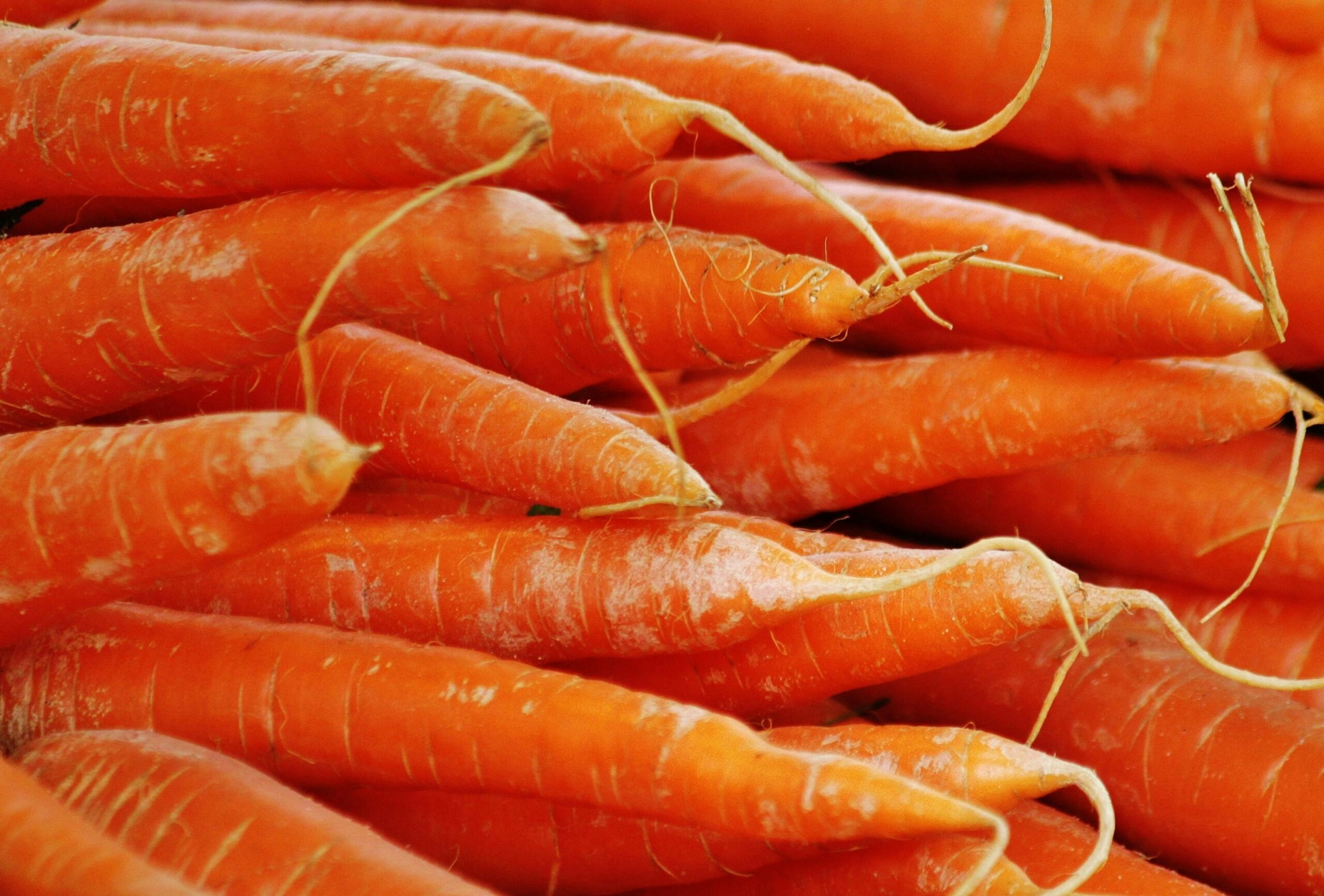 Orange carrots