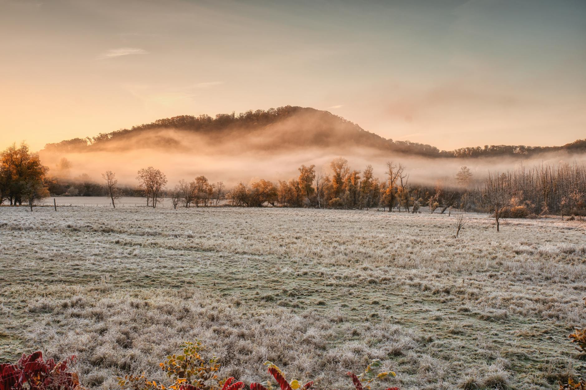 foggy winter landscape