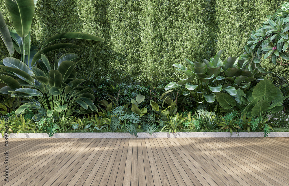 Empty wooden terrace with green wall 3d render,There are wood plank floor with tropical style tree garden background sunlight shine on the tree