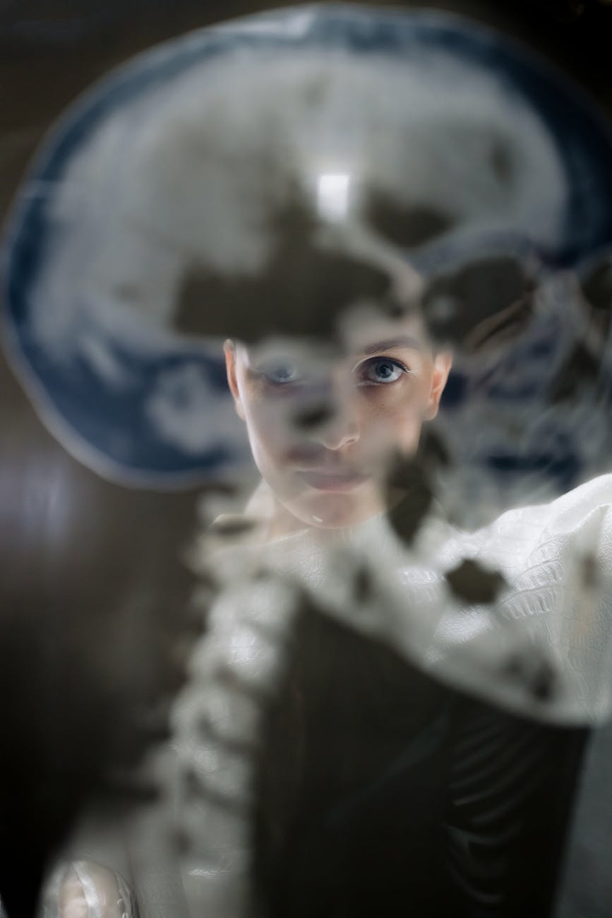 person examining an x ray