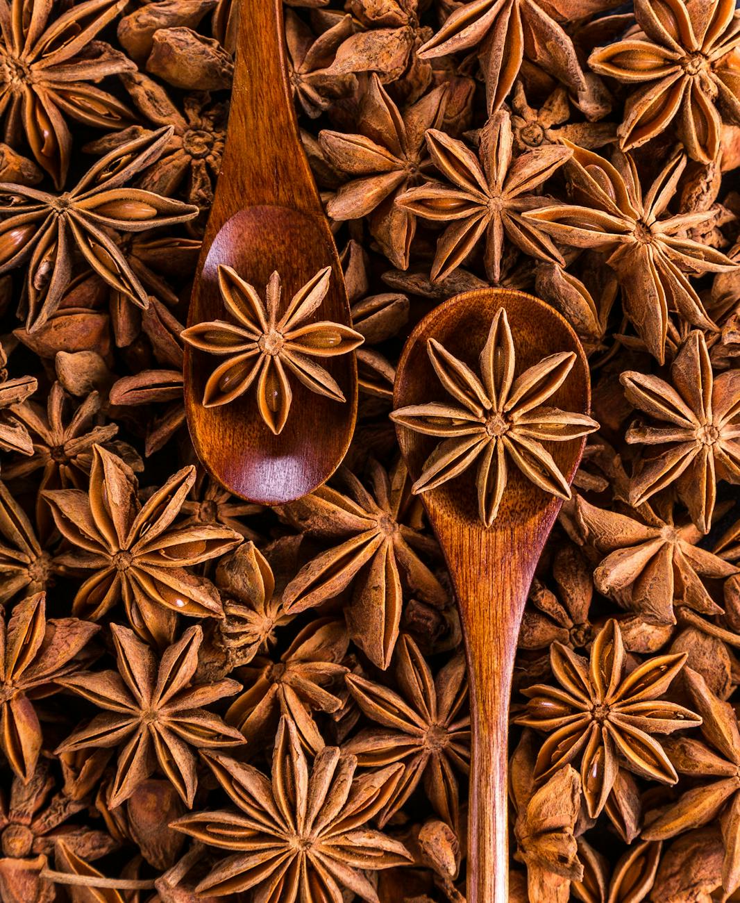 directly above shot of dried decoration