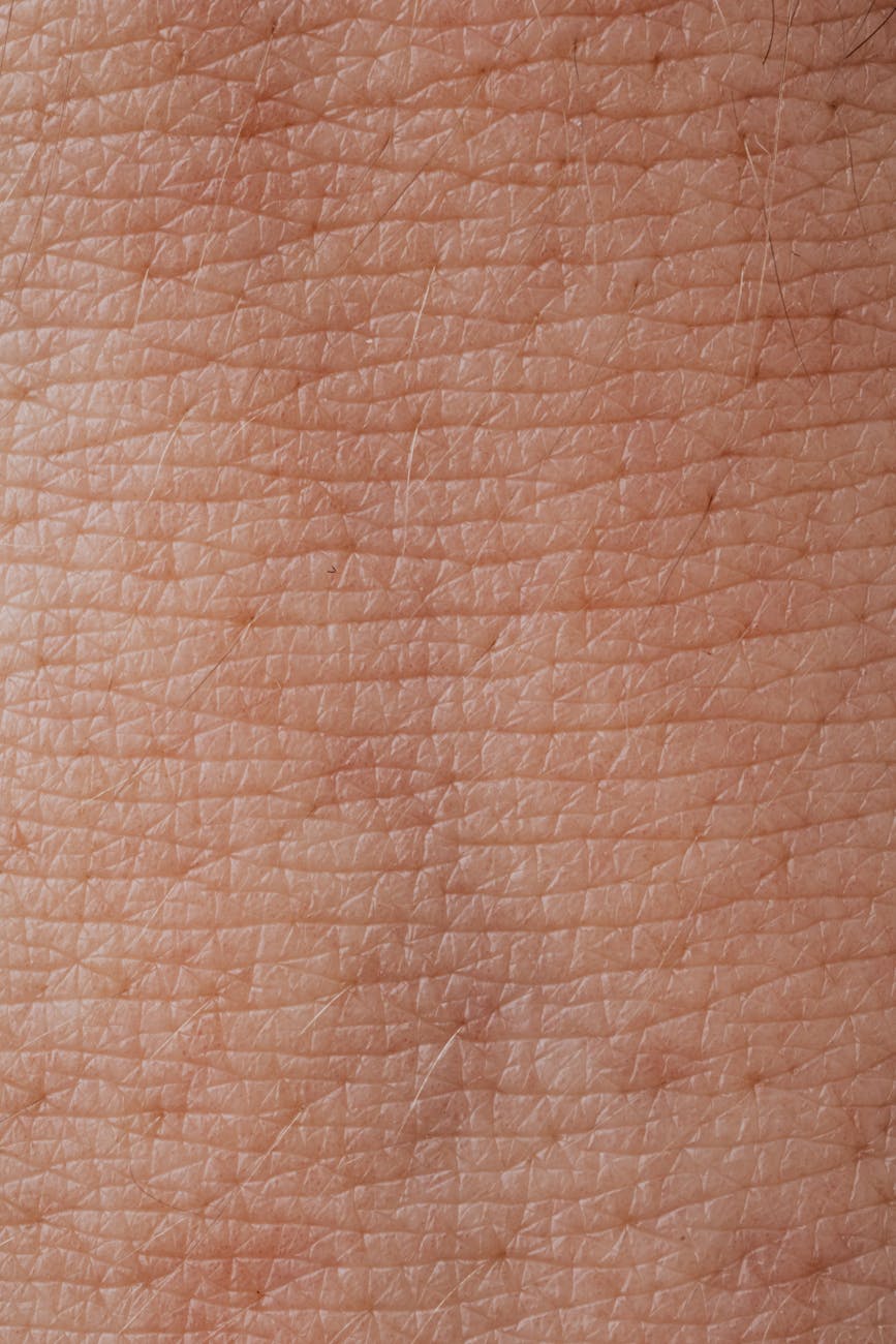close up view of human skin