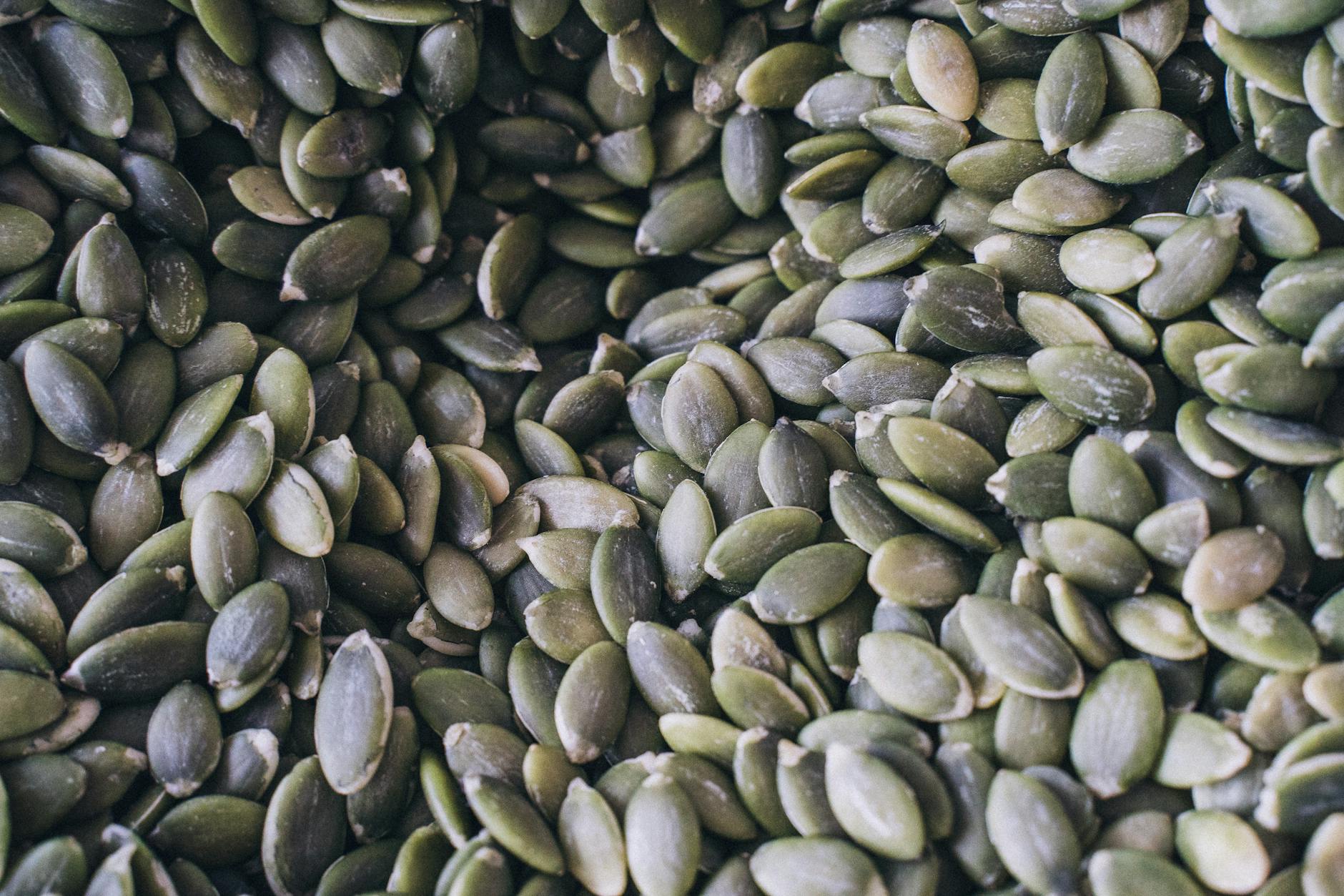 dried pumpkin seeds in close up shot