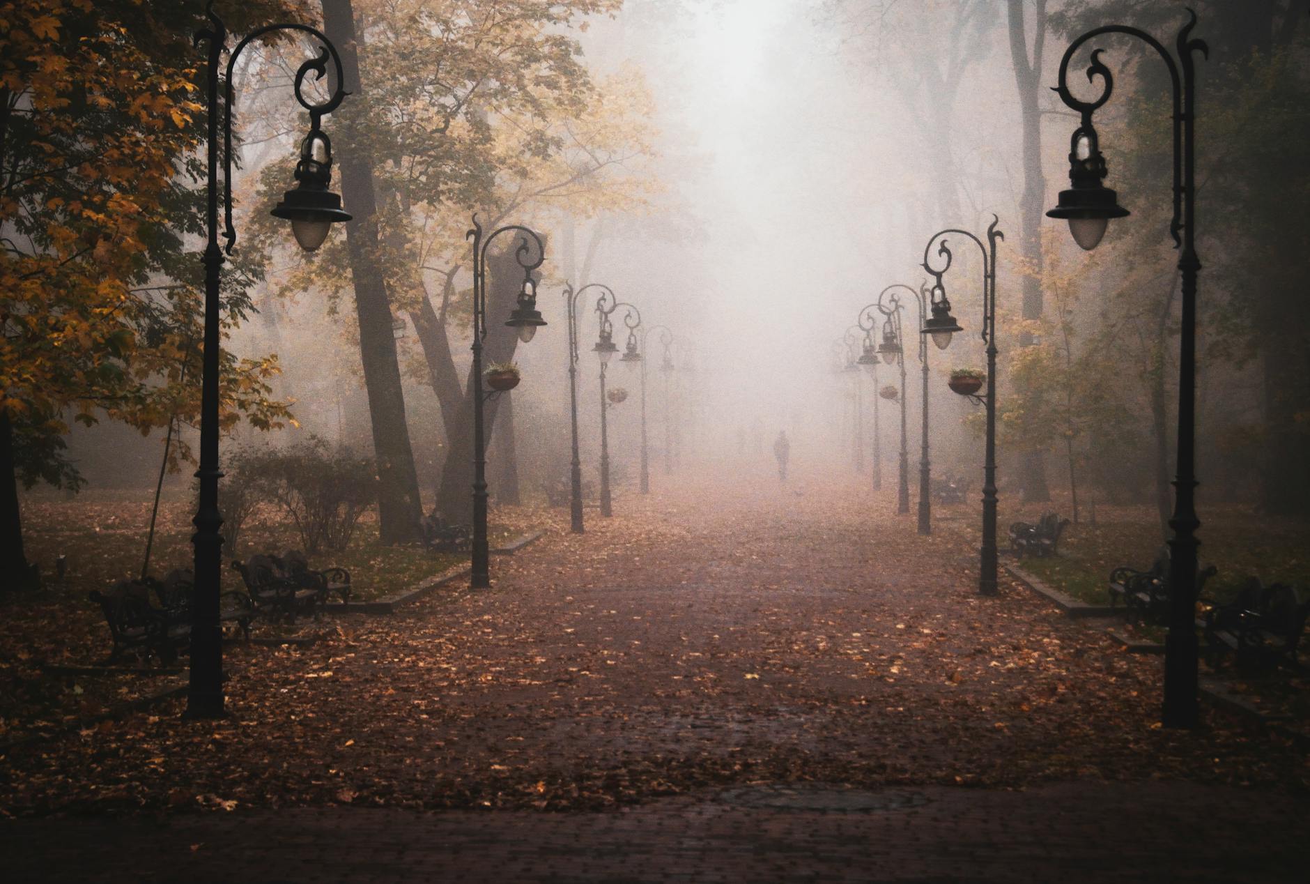 people in park pathway on foggy weather
