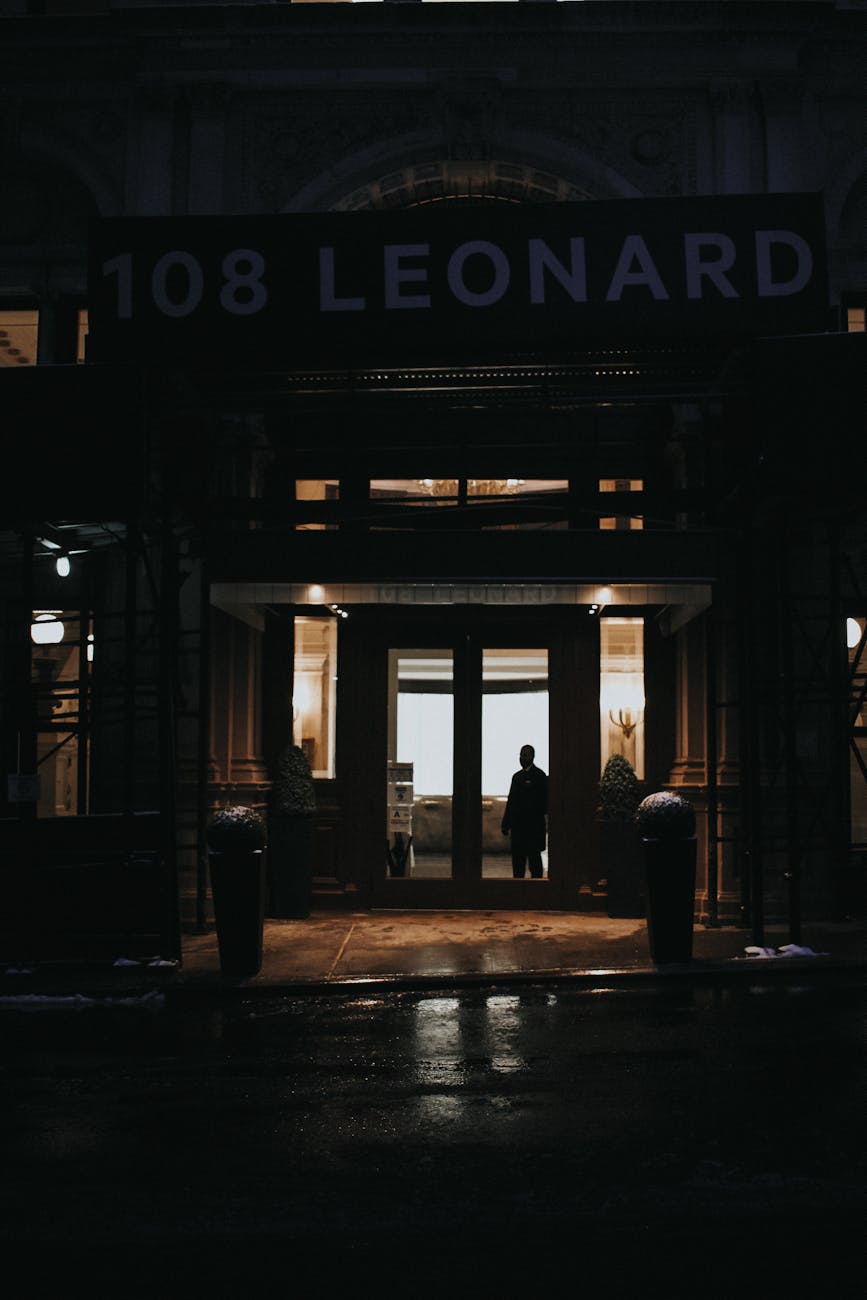 The Visionary Connection: Leonard Shlain on Art & Physics