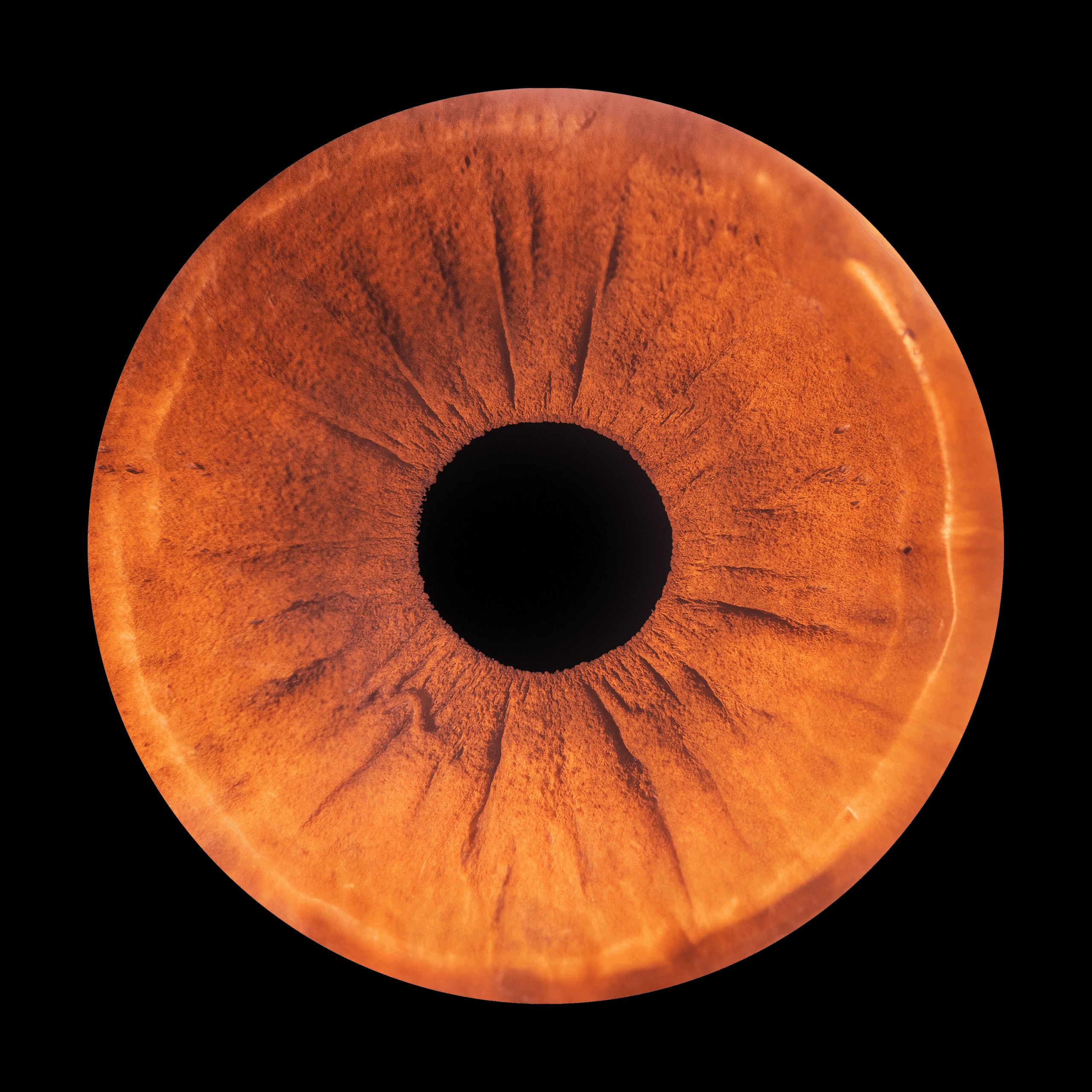 Orange lens in the dark